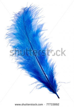 Black And White Feather