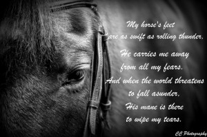 Horse poem. | Impressive Quotes