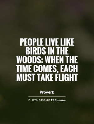 Flight Quotes