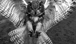 Fantasy World Quotes Quotes with fantasy world