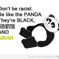 funny sayings photo: panda tumblr_lf9lt4A8YV1qzxzwwo1_500.jpg