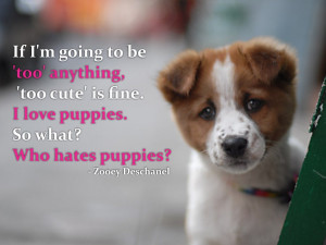 If I'm going to be 'too' anything, 'too cute' is fine. I love puppies ...