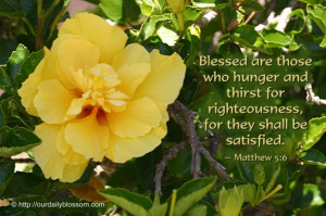 Blessed are those who hunger and thirst for righteousness, for they ...