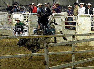 Good Bull Riding Quotes Had bull-riding until it