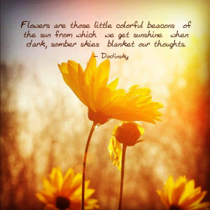 Flowers are those little colorful beacons of the sun from which we get ...