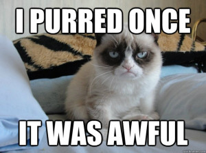 Grumpy Cat Captions