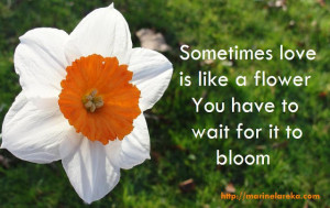 Monday, 23 April 2012