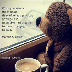 Marcus Aurelius Quotes When You Arise In The Morning Clinic