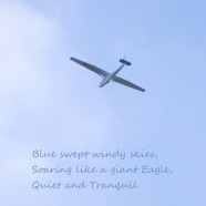 Home » Poems and Quotes » Glider