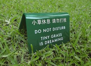 Funny Sign Cute Lawn Decor Keep off the Grass Yard by SignFail