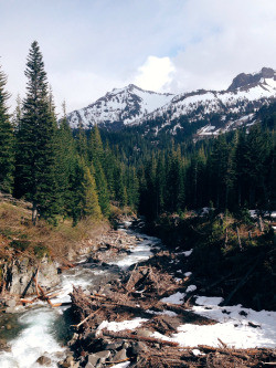 ... Wilderness exploration discovery Northwest wanderlust hike national