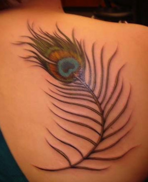 ... the application of peacock feather tattoo as a high quality symbolism