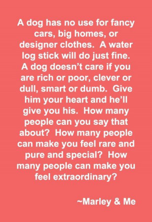 Source: http://makofly.tumblr.com/post/34448876004/this-really-choked ...