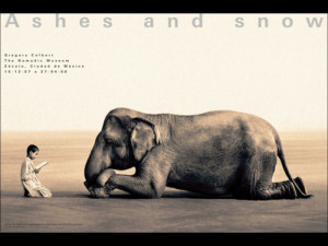 Boy Reading to Elephant Mexico City