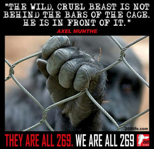 Quote by Axel Munthe, Image by 269Life