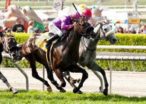 GAMELY STAKES QUOTES