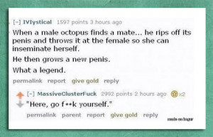 funny-octopus-mating-ritual