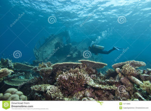 dreamstime.comDiver Exploring Underwater Shipwreck. Royalty Free Stock ...