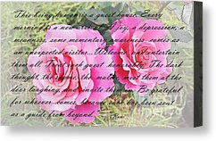 Rumi Quotes Canvas Prints - Rumi Quote - Roses - Guide Canvas Print by ...