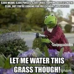 ... real life kermit funny true kermit memes frogs quotes business snitch