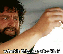 Images Funny Quotes From The Hangover Movie Zach Galifianakis