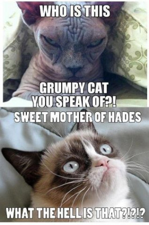 Grumpy Cat Meets Evil Cat
