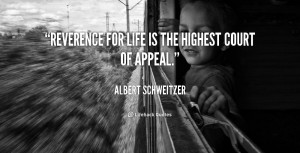 quote-Albert-Schweitzer-reverence-for-life-is-the-highest-court-43002 ...