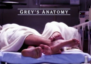 Want to know if the Penis Fish on “Grey’s Anatomy” really exists ...