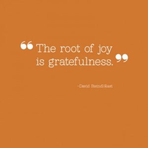 Grateful Quotes About Gratitude