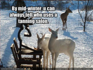 funny deer pictures with captions