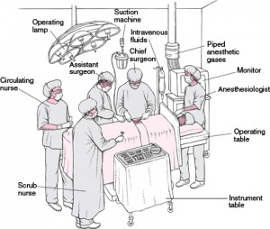 Operating Room Team: Sterile Members