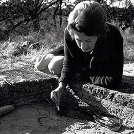 Mary Leakey The Foundation