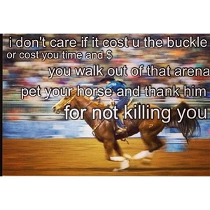 Horse, Barrel Racing, and Rodeo Quotes.