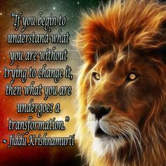 ... then what you are undergoes a transformation.” ~ Jiddu Krishnamurti