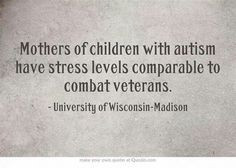 http://www.disabilityscoop.com/2009/11/10/autism-moms-stress/