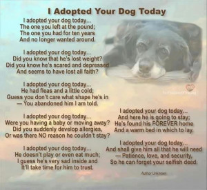 adoption quotes