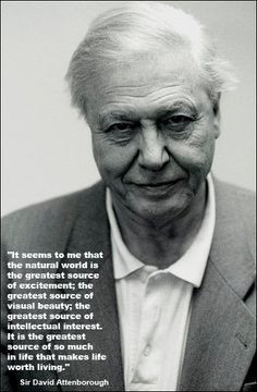 Sir David Attenborough - our patron