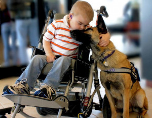 ... : The Special Relationship Between a Sick 4-Year-Old Boy and His Dog