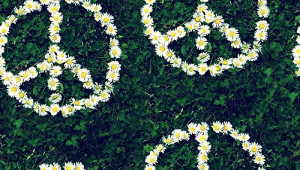 Daisies Background Tumblr Daisy tumblr backgrounds.