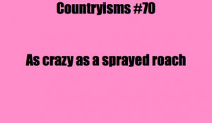 Related Pictures jokes hillbillies stories hillbillies quotes