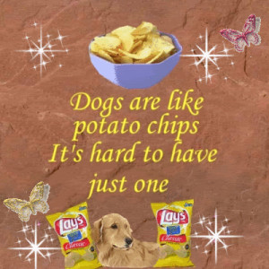http://www.pics22.com/dogs-are-like-potato-chips-dog-quote/