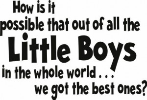 ... Little Boys In the Whole World We Got the Best Ones ? Vinyl Wall
