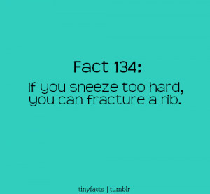 ... funny quote funny quotes sneeze sneezing so relatable relatable quotes