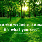 ... look at that matters, it’s what you see.” – Henry David Thoreau