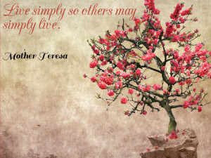 The sun was warm but the wind was chill.