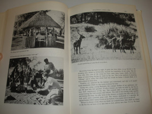 Bow Hunting Quotes Fred Bear My favorite hunt of the book