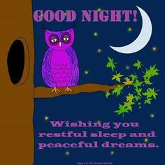 Have a restful night , God Bless !!...:0 More