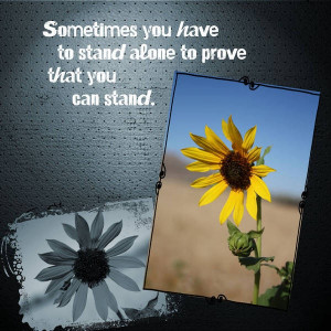 Stand alone quote