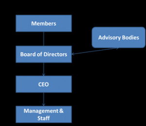 Non Profit Board Structure