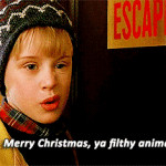 Home-Alone-2-quotes-150x150.gif